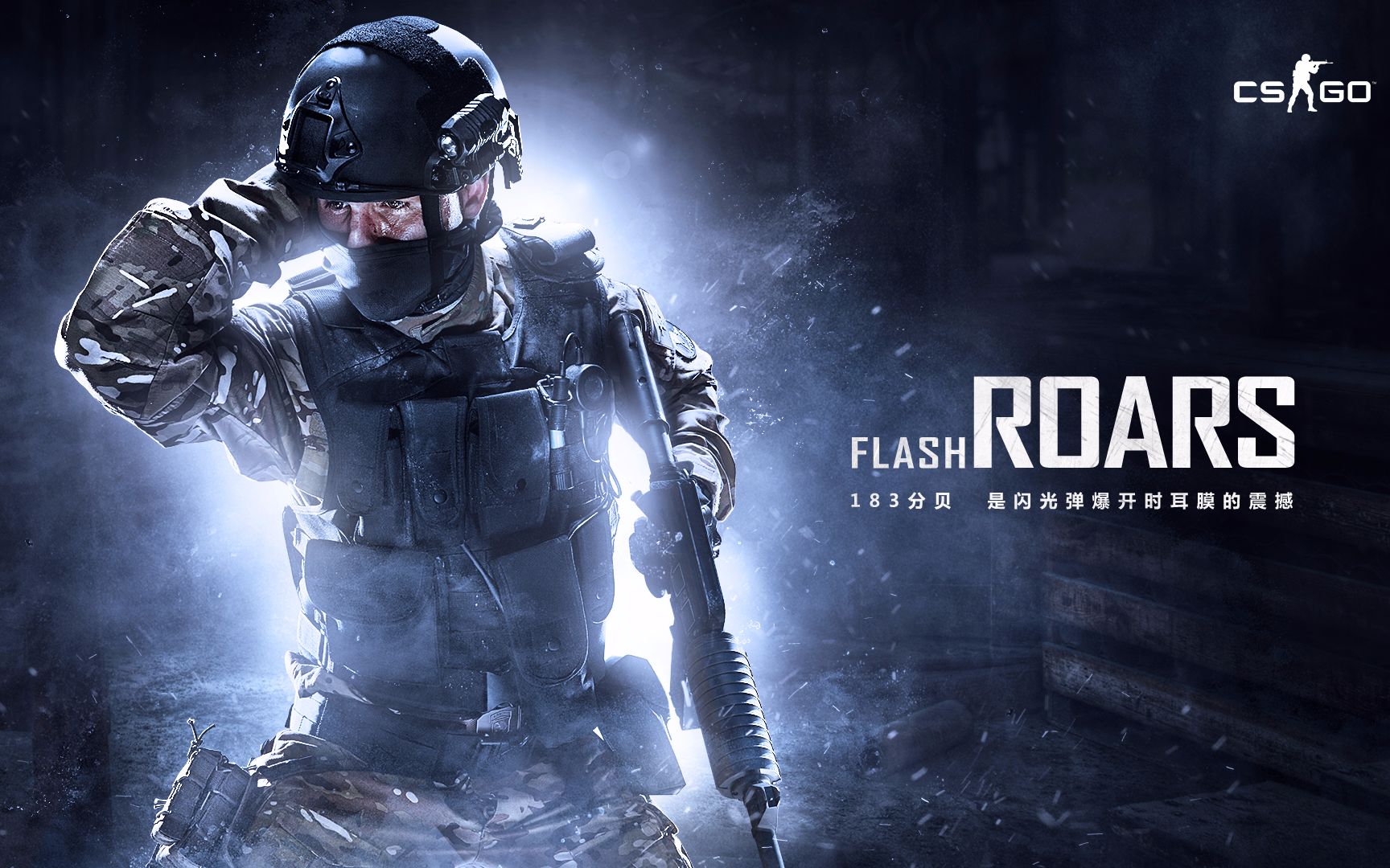 但未能将数 但未能将数