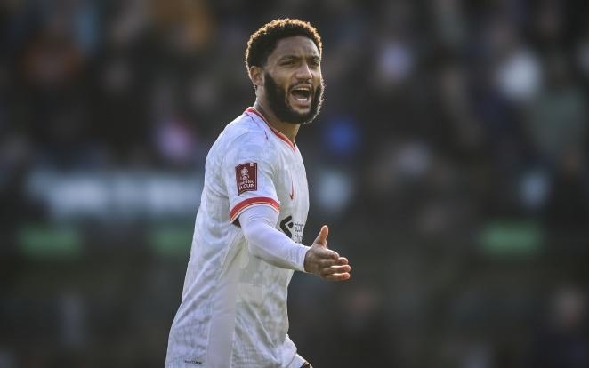 而加布里埃 而加布里埃