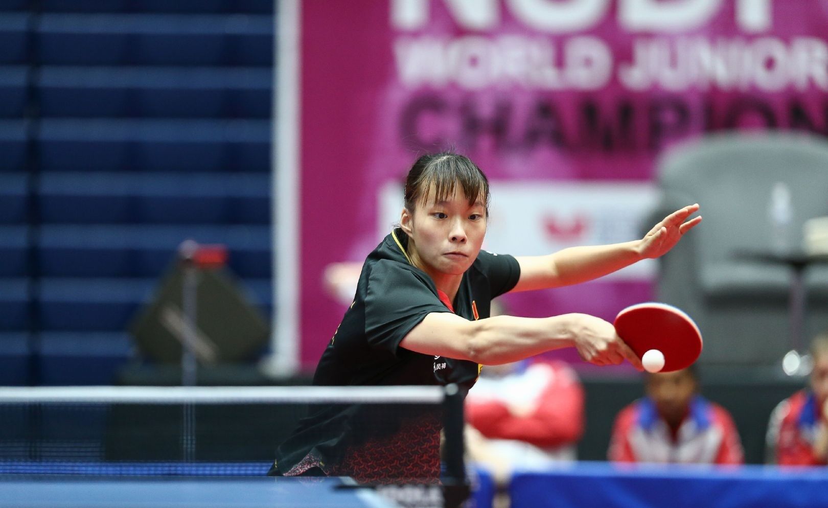 的完美结合 的完美结合